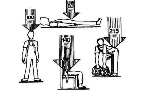 Carga na columna vertebral en diferentes posicións